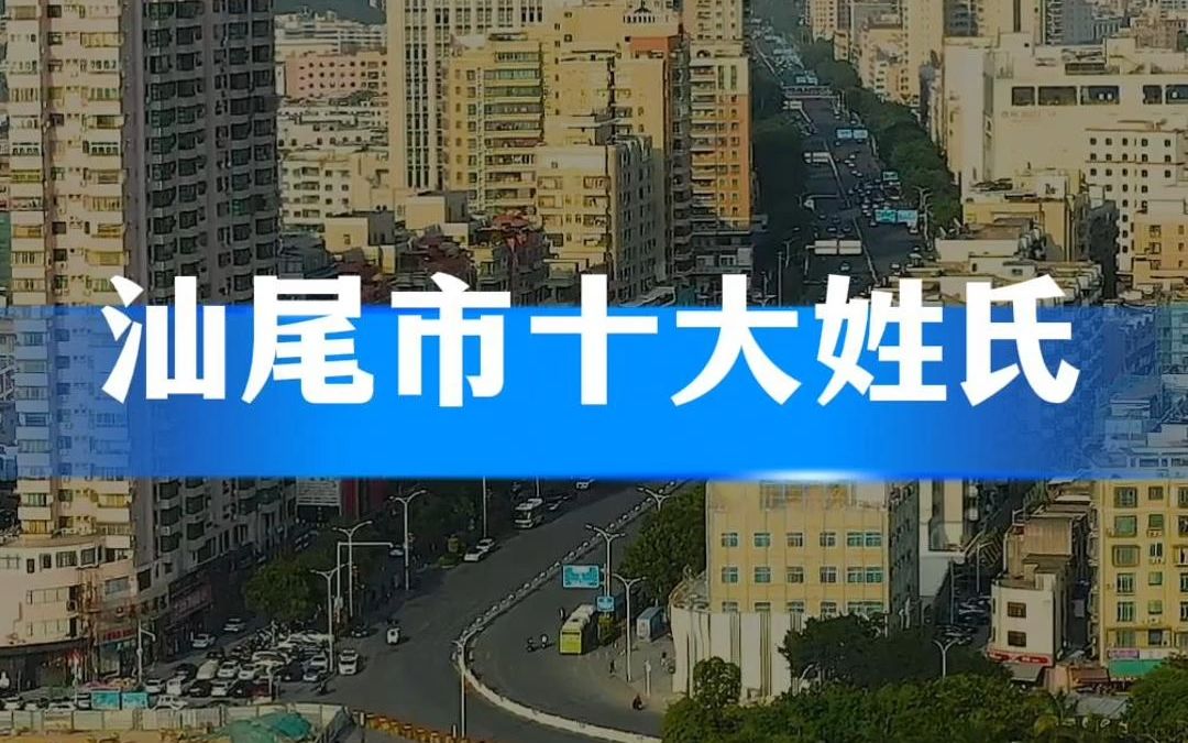 汕尾市十大姓氏排名!你知道排名第一的是哪个姓氏呢?哔哩哔哩bilibili