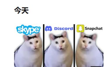 Huh猫但手机软件通知哔哩哔哩bilibili