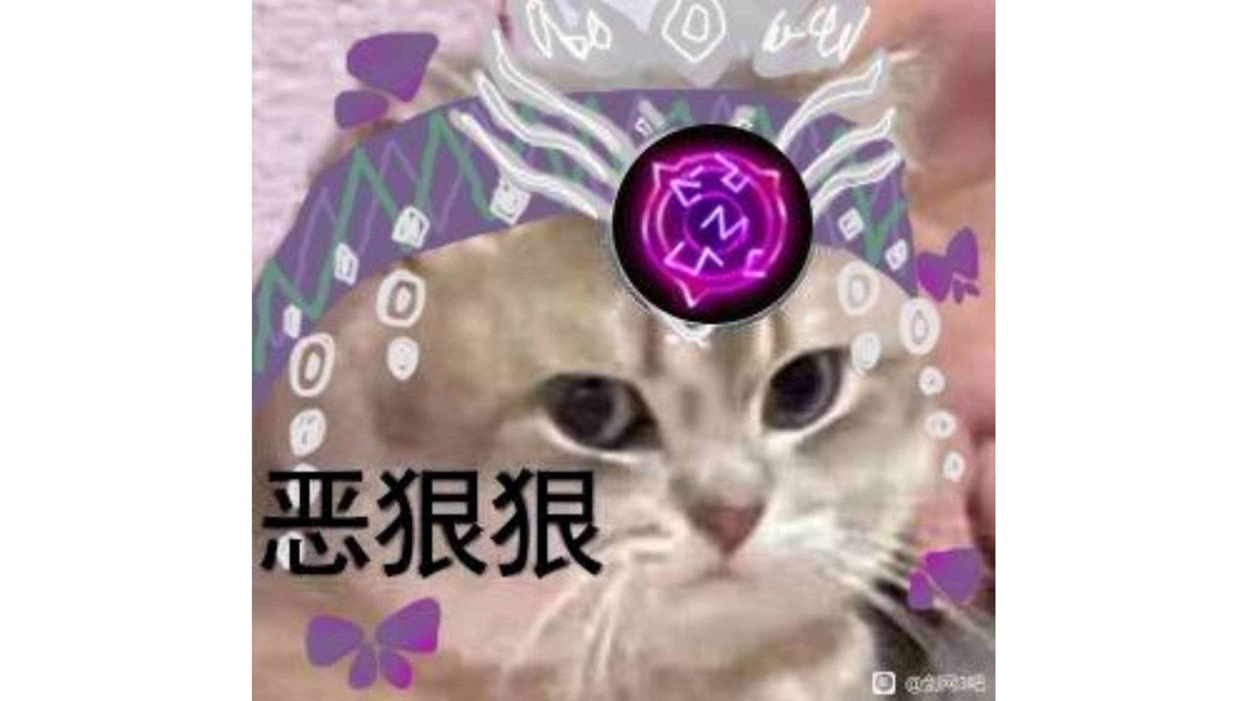 毒经的伤害是靠队友花间在跑马拉松获得的