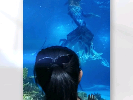 游泳馆游乐设施齐全,水族馆展览中心哔哩哔哩bilibili