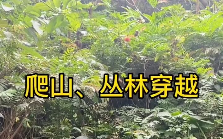 户外登山装备推荐,全包围防晒遮阳帽、钓鱼、爬山、必备选择!哔哩哔哩bilibili