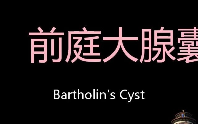 前庭大腺囊肿 Chinese Pronunciation Bartholin's cyst哔哩哔哩bilibili