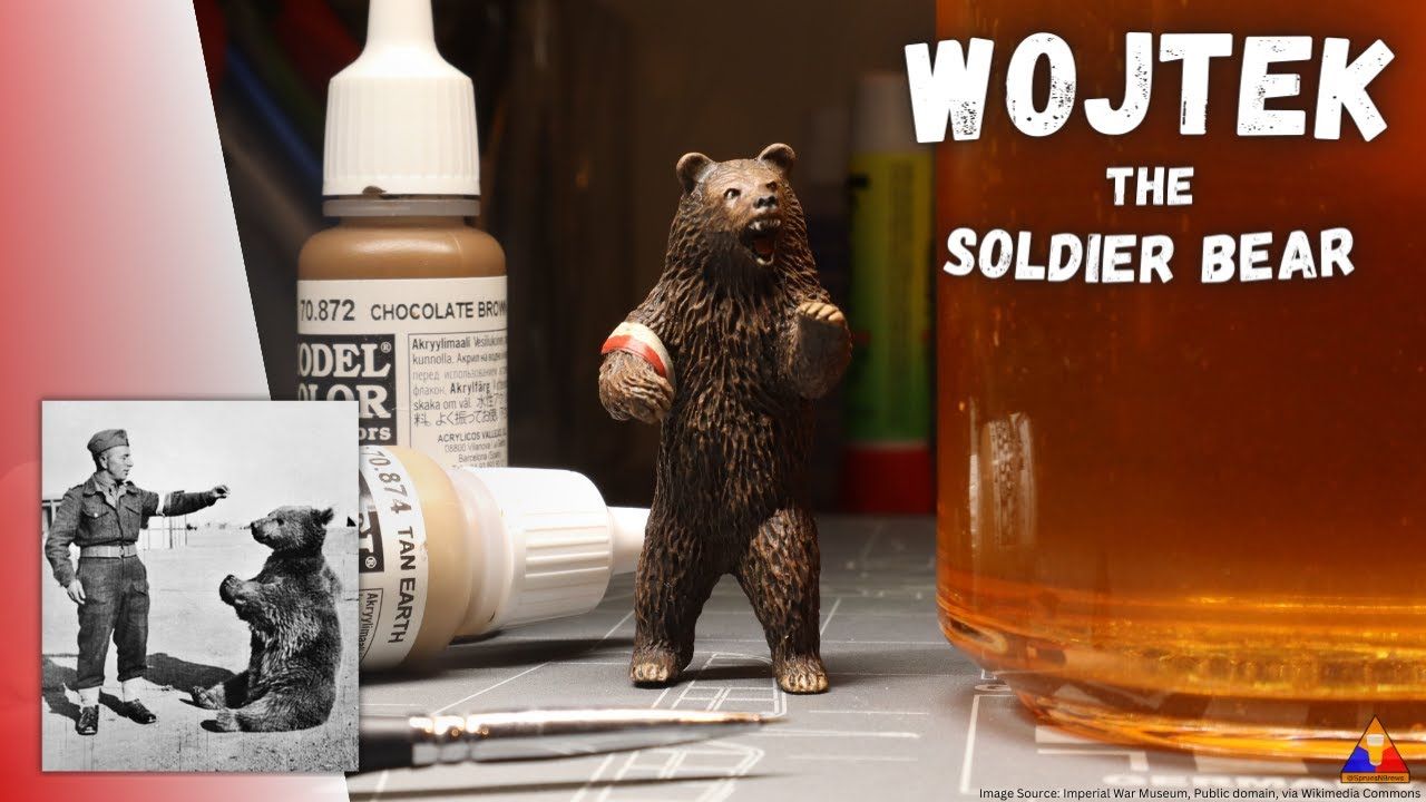 波兰军队有史以来最高大的服役士兵.1/35 战熊Wojtek模型制作 爱喝啤酒的战争之熊哔哩哔哩bilibili