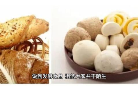 发酵食品是什么?哔哩哔哩bilibili