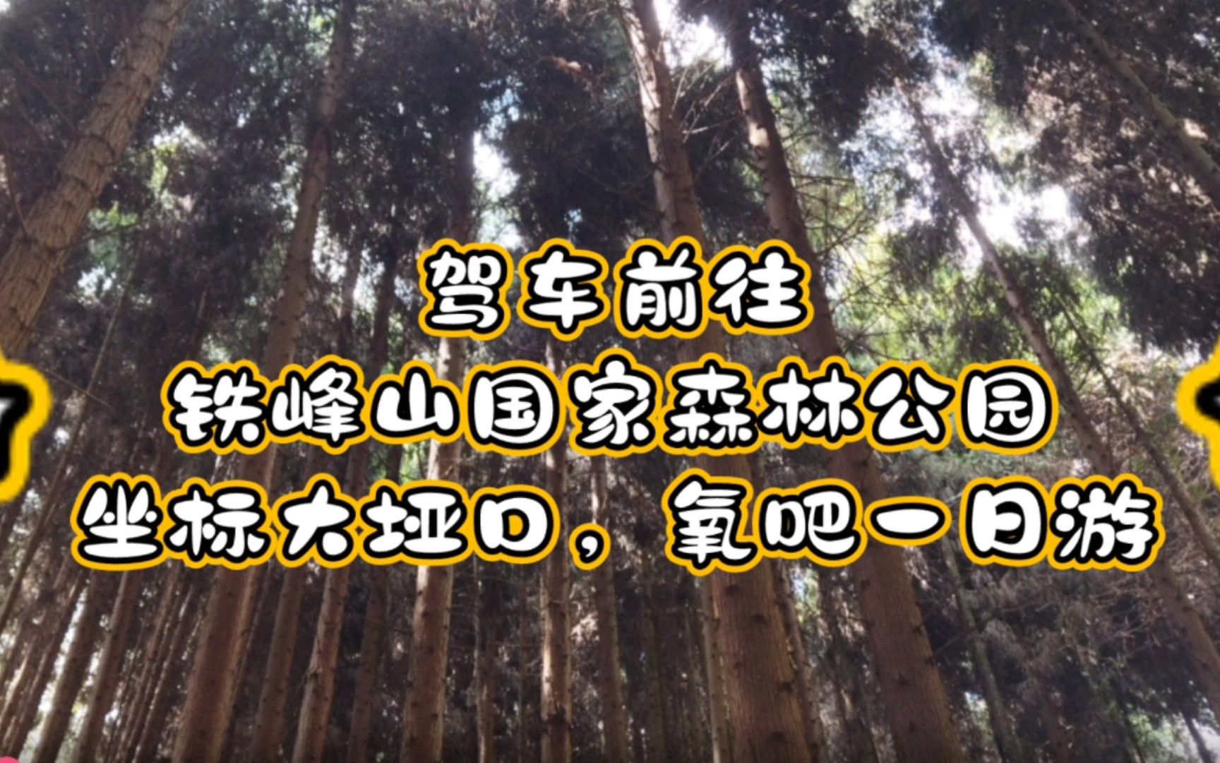 [图]爱在万州‖铁峰山国家森林公园一日游，坐标大垭口，避暑胜地，吊床帐篷无数 2022.08.07