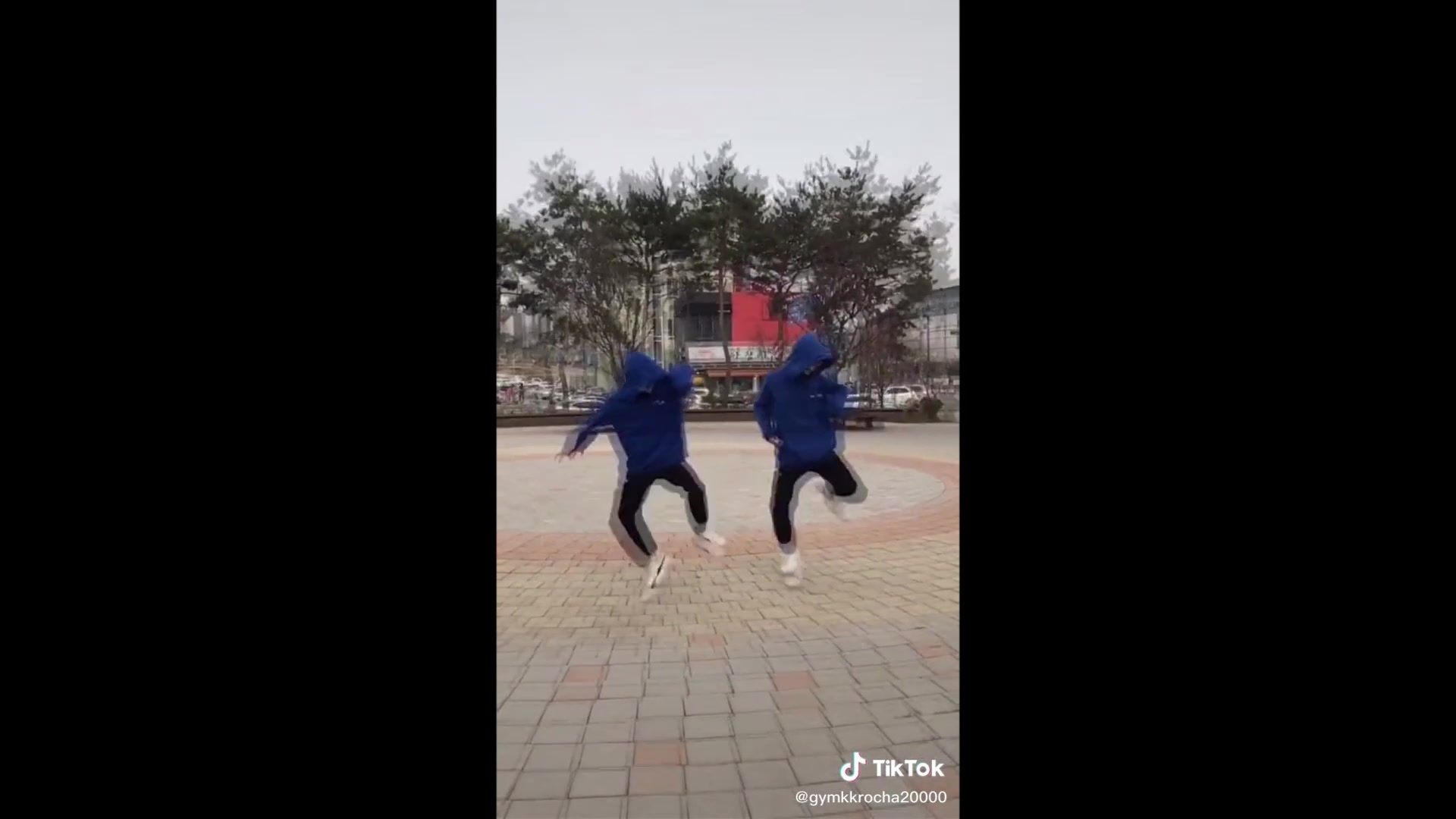 [图]Whistle Remix _TikTok Dance Compilation 1