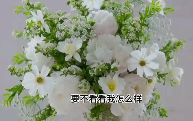 书名《秘密爱的他》超级好看的小说哔哩哔哩bilibili