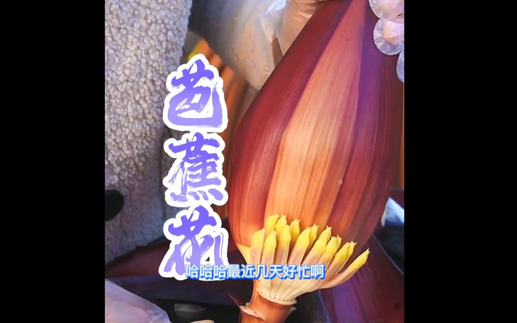 大白猫的妈妈来了,大花猫做了一道芭蕉花煮猪心,独特的食材,劲道的猪