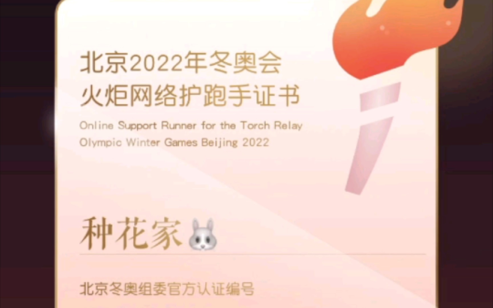 2022冬奥会火炬网络护跑手证书获取教程哔哩哔哩bilibili