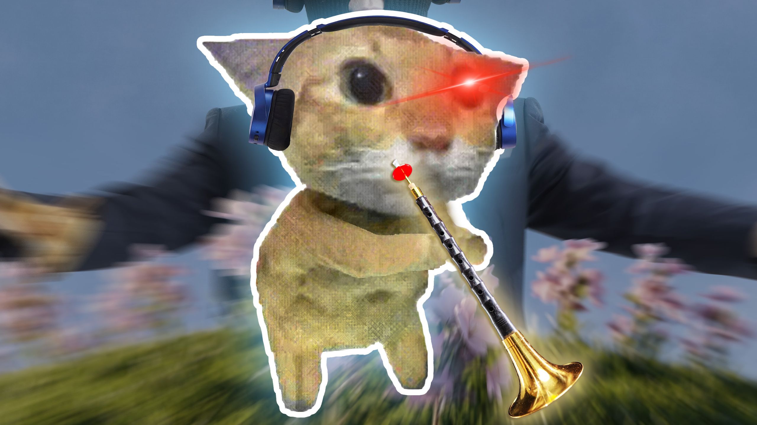 你把我猫吹亖了！