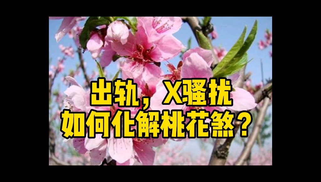 [图]出轨，X骚扰，如何化解桃花煞？