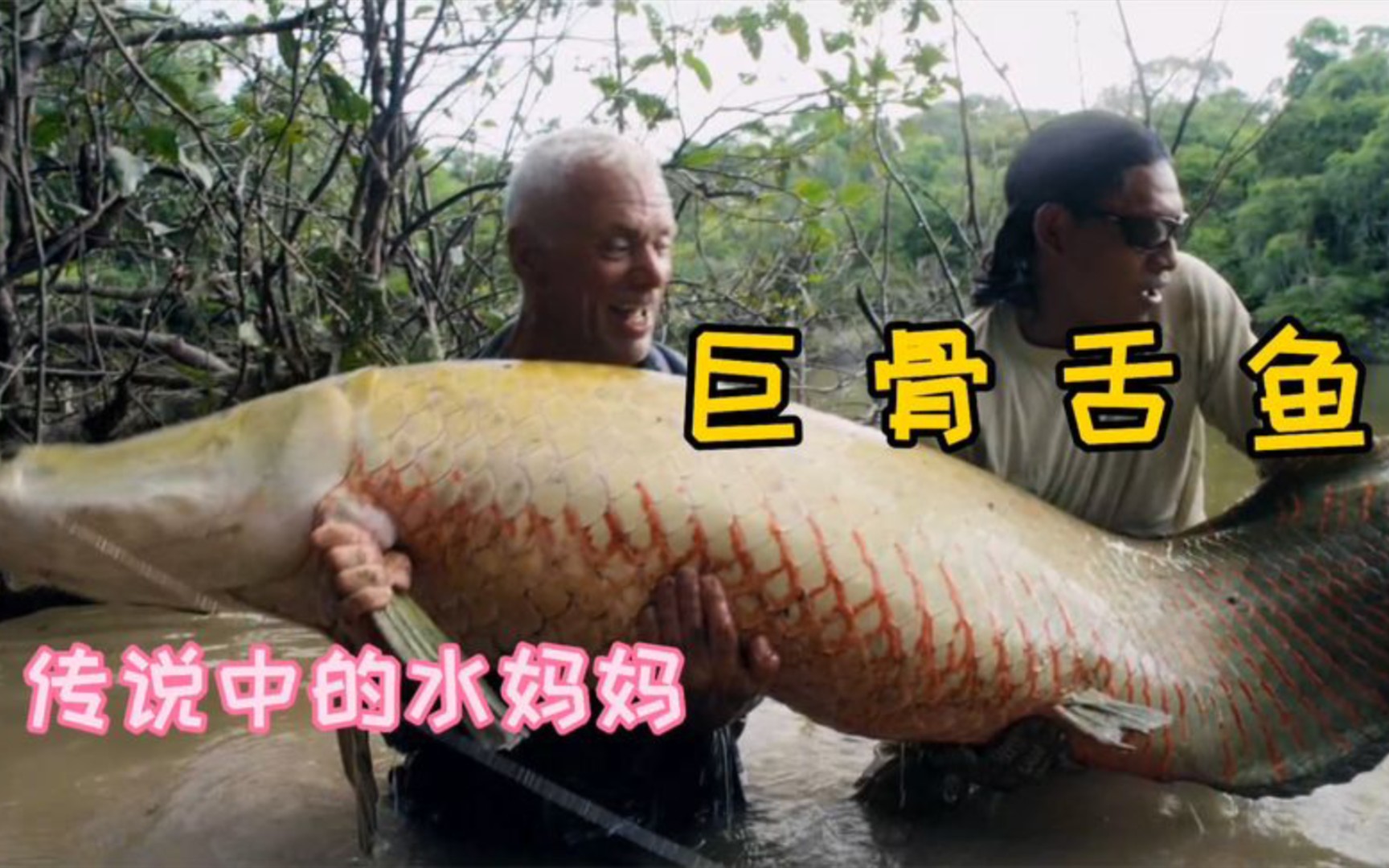 河中巨怪:亚马逊森林的恐怖传说,水妈妈会将人拖下水底不见踪影