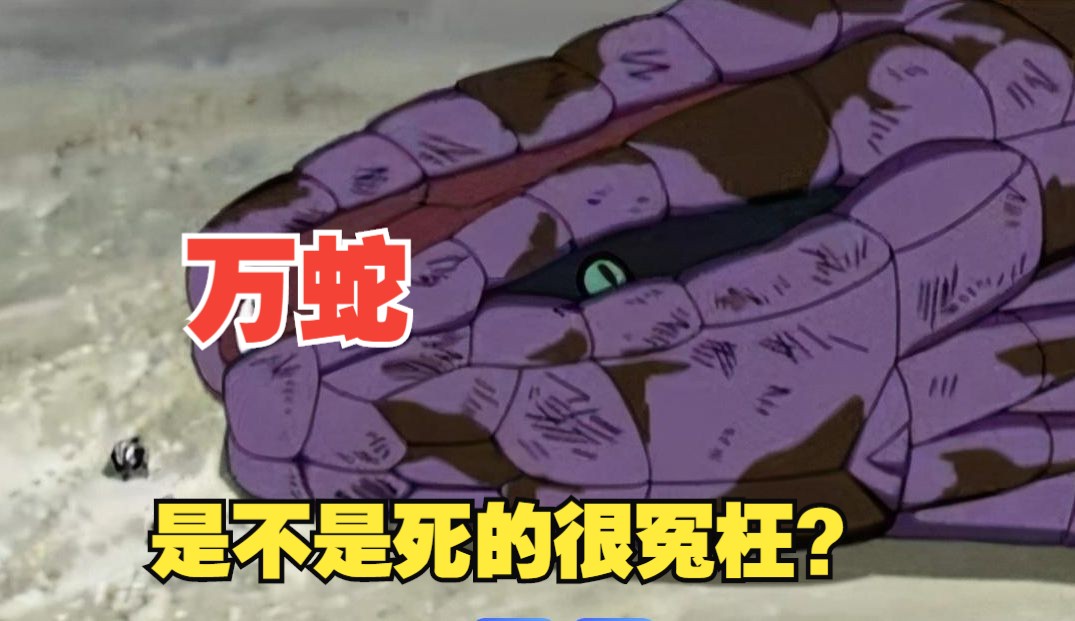 火影忍者 万蛇是不是死的最冤枉?