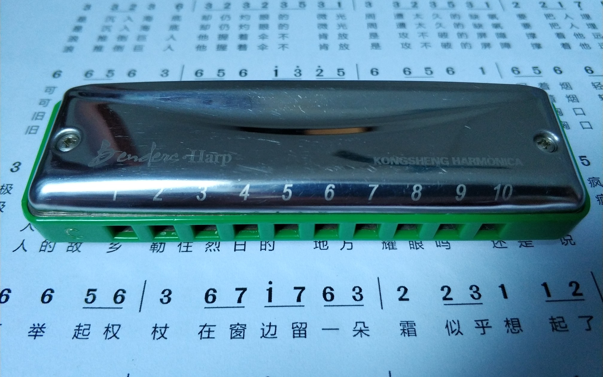 活动作品十孔口琴lemon