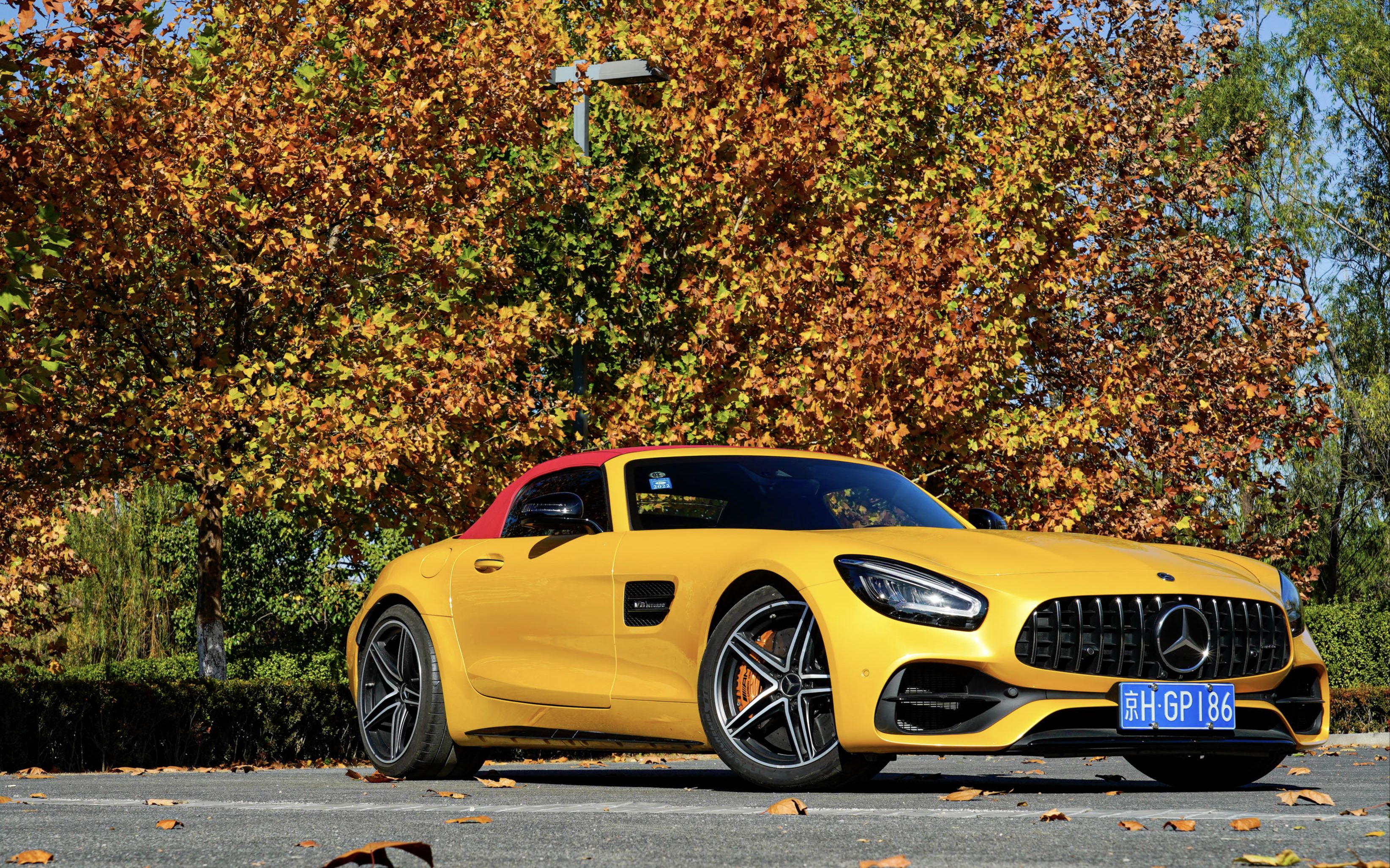 秋日里的西虹市炒鸡蛋 试驾体验amg gtc 敞篷