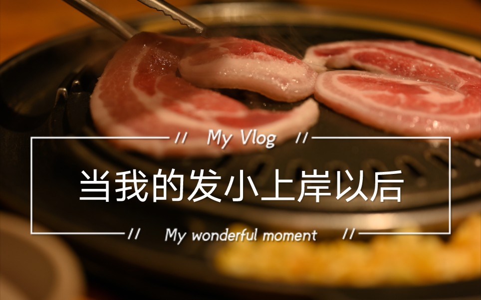 「VLOG」5:《教父4》 豆瓣评分3.0哔哩哔哩bilibili