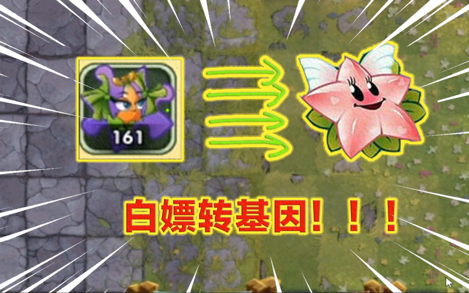 PVZ2:161张紫卡碎片,白嫖植物转基因!能出几张天使星星果碎片哔哩哔哩bilibili