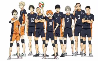 乌野高校排球部 搜索结果 哔哩哔哩 Bilibili