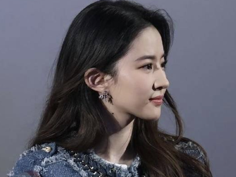 每当有人说世界上没有什么是完美的,我:刘亦菲的侧脸