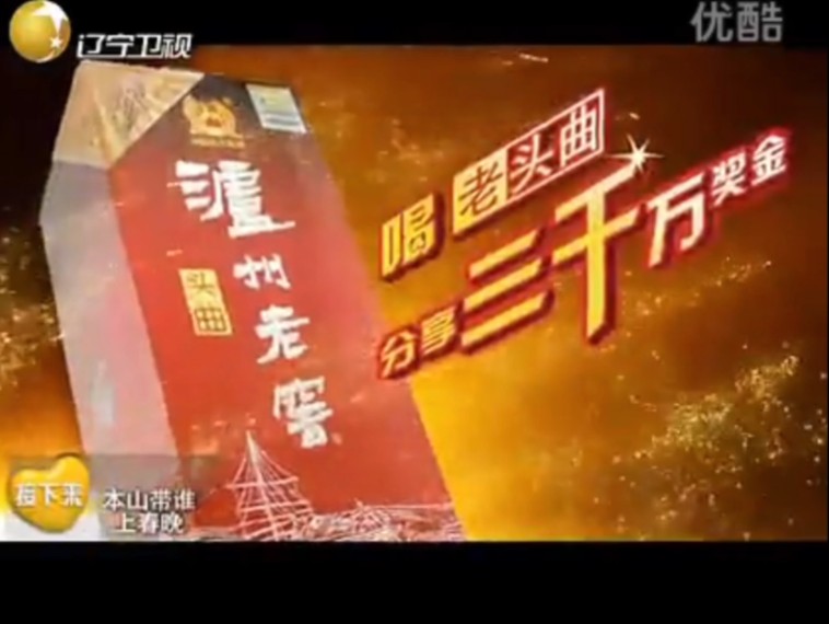 辽宁卫视2013广告图片