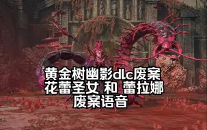 Descargar video: 【艾尔登法环dlc】花蕾圣女和蕾拉娜的废案语音