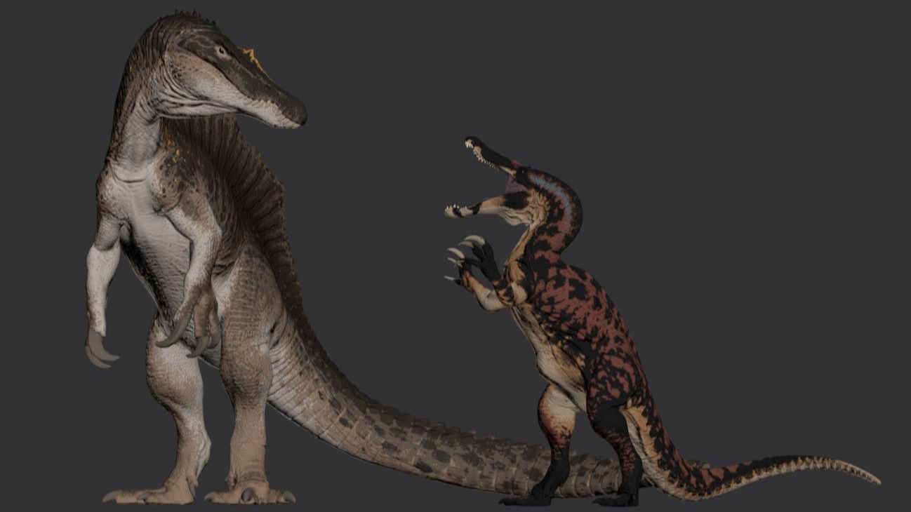 初入游戏：Kiki的生存起点