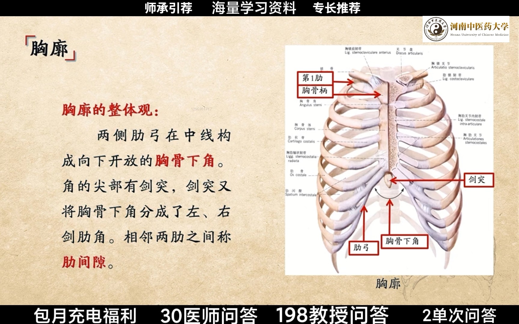 胸廓高图片