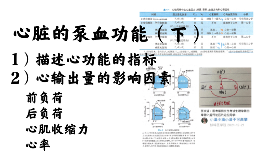 生理学心脏的泵血功能(下):心功能指标、心输出量的影响因素哔哩哔哩bilibili