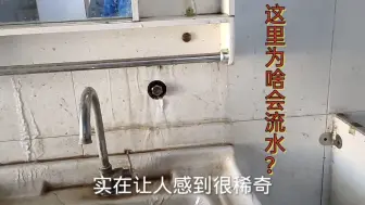 Download Video: 置物架里面往外冒水，谁知道咋回事？