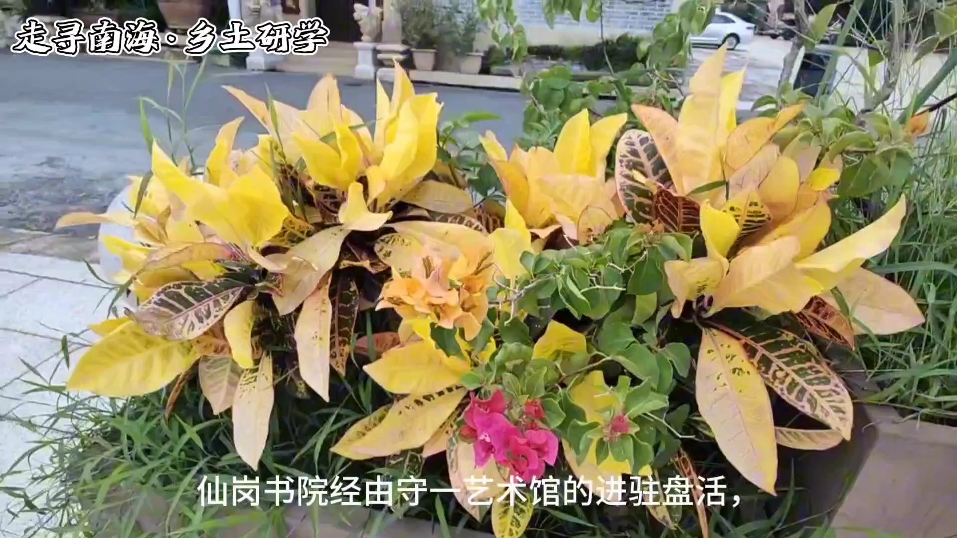 5许佳妍—探寻最美乡村仙岗村