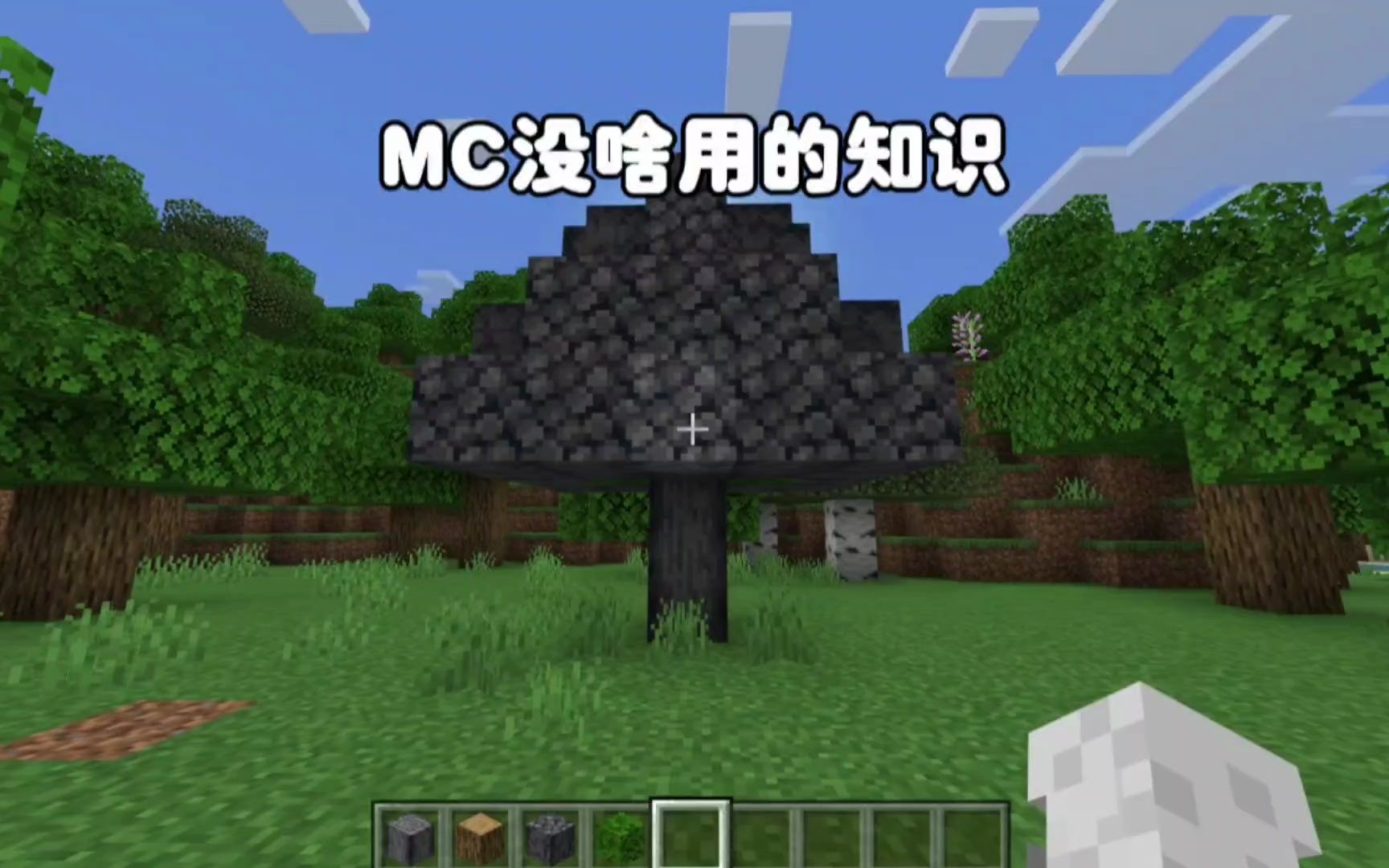 [图]我的世界：MC没啥用的知识