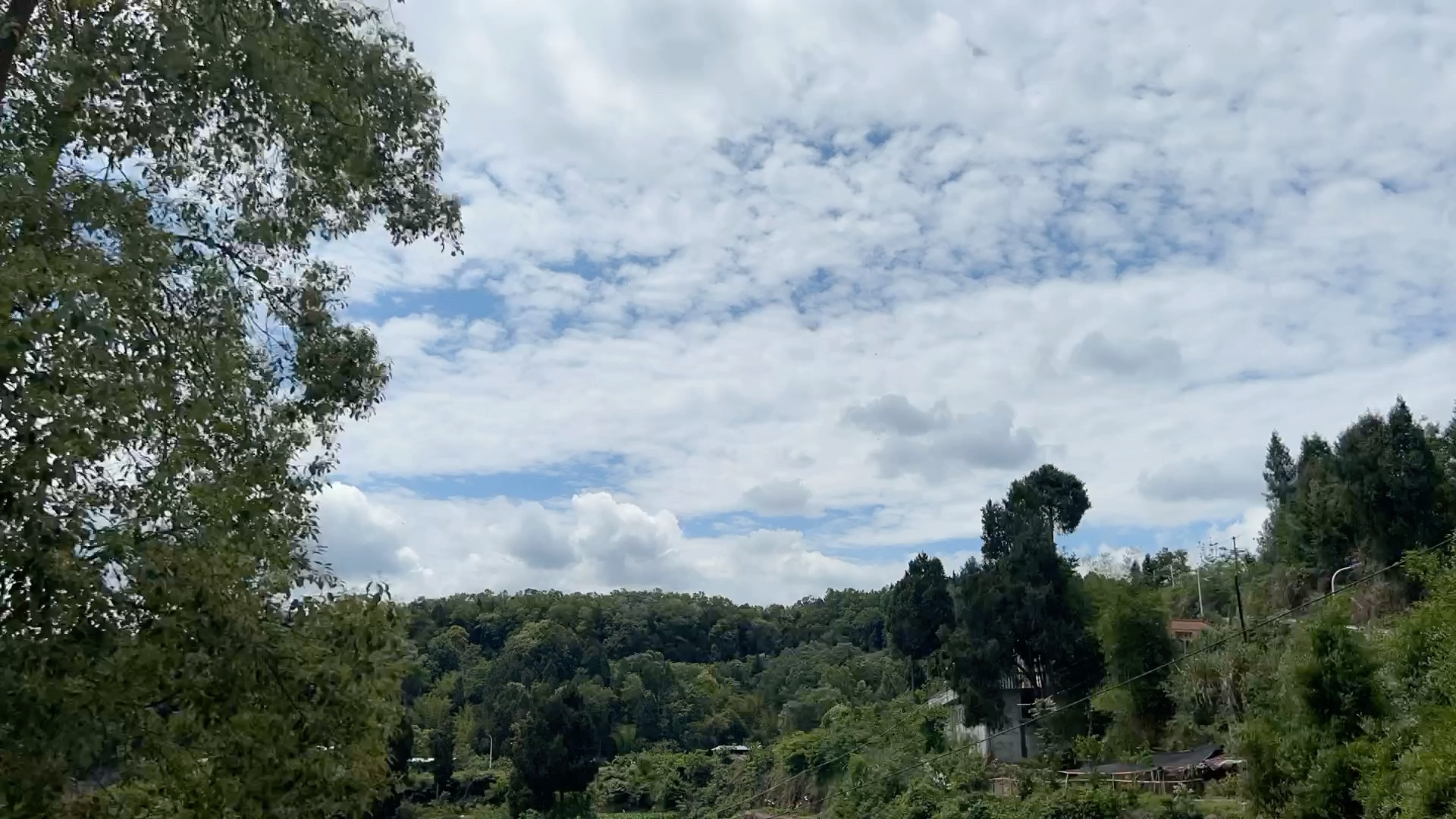 喜欢风和日丽的天气