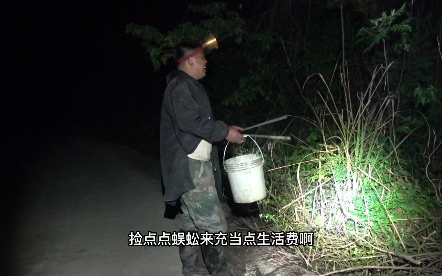 农村夜晚开始捡蜈蚣了,一条接一条好过瘾,感觉就像在捡钱