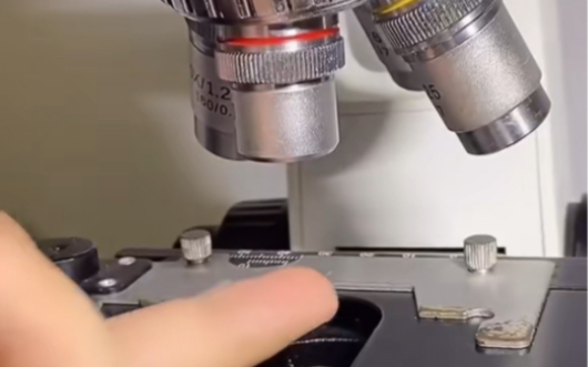 显微镜下的手指