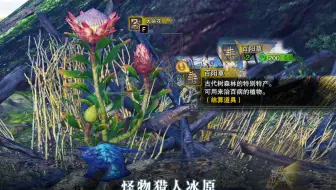 Mhw 怪物猎人世界 古代森林17区 隐藏食材 百阳草 大朵的花增殖中 哔哩哔哩 Bilibili
