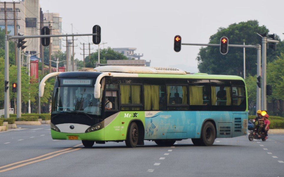 [图]【日常拍车】11米熊猫行走音