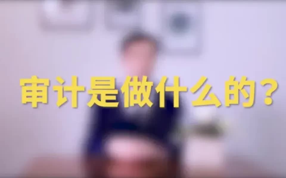 【审计攻略】审计是做什么的?哔哩哔哩bilibili