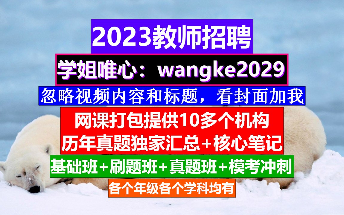 23年宁夏教师招聘小初高英语,小学教师编制报考时间,教师考编网课哔哩哔哩bilibili