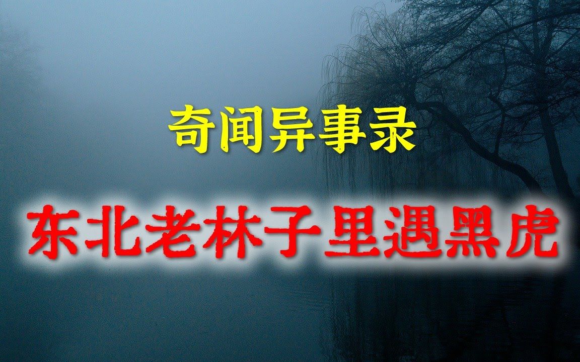 【灵异事件】东北老林子里遇黑虎 民间鬼故事 真实灵异 解压故事 灵异诡事 恐怖故事 【民间鬼故事之奇闻异事录】哔哩哔哩bilibili