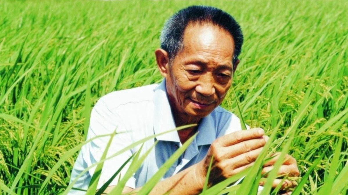 “中国人的饭碗，必须牢牢端在自己的手里！”
