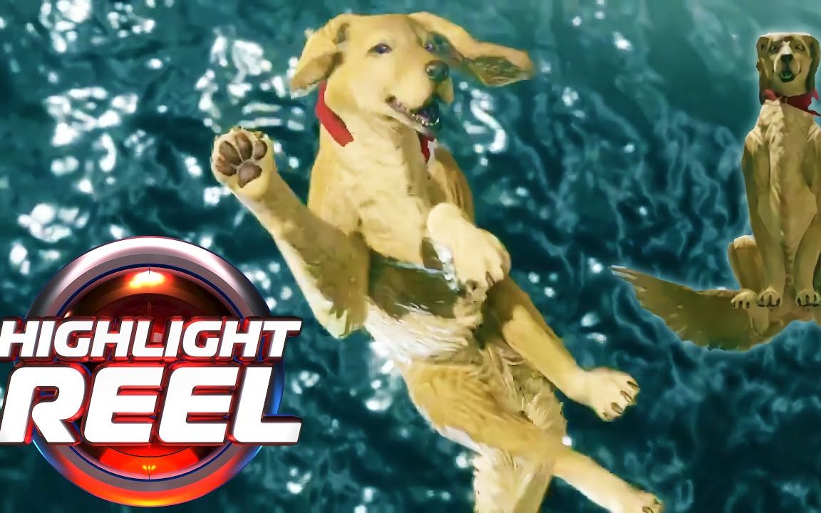 【游戏高能时刻】飞天狗狗超开心(ep586,中文字幕)