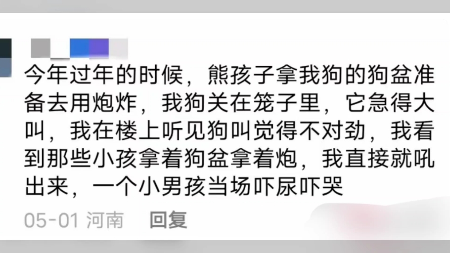 狗碗对狗狗有多重要?评论区还原真相现场,泪目了哔哩哔哩bilibili