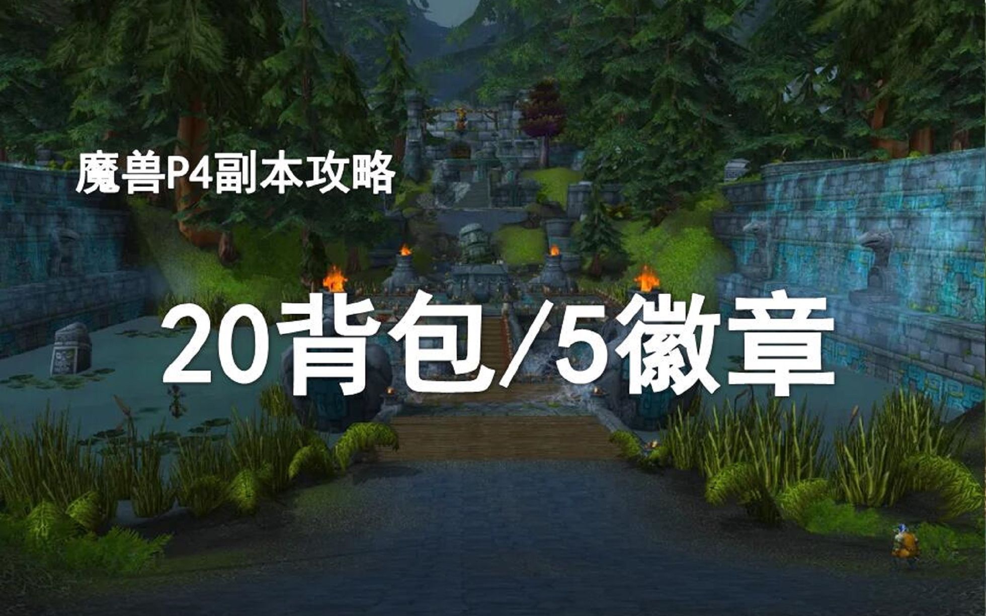 【祖阿曼攻略】进本必接任务——20格背包/5牌子/紫色宝石!哔哩哔哩bilibili魔兽世界怀旧服