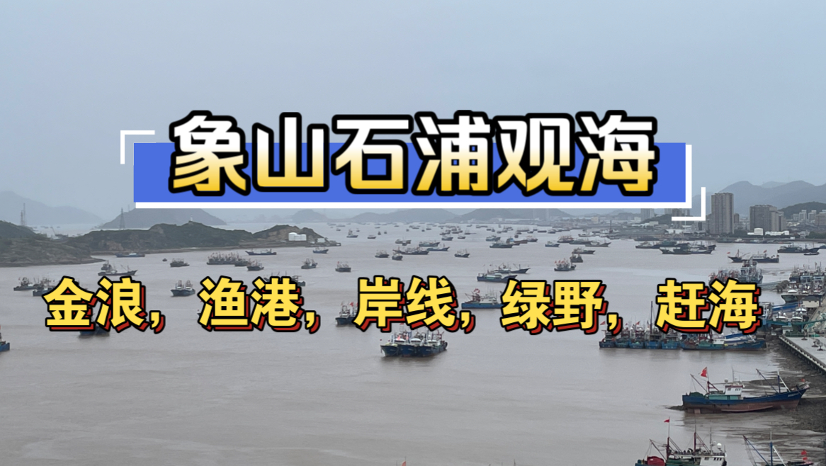 【宁波象山石浦】海滩拍浪,渔港远眺,岸线步行,绿林踱步,挖沙赶海……不华丽但很温馨,非常适合全家带娃出行哔哩哔哩bilibili