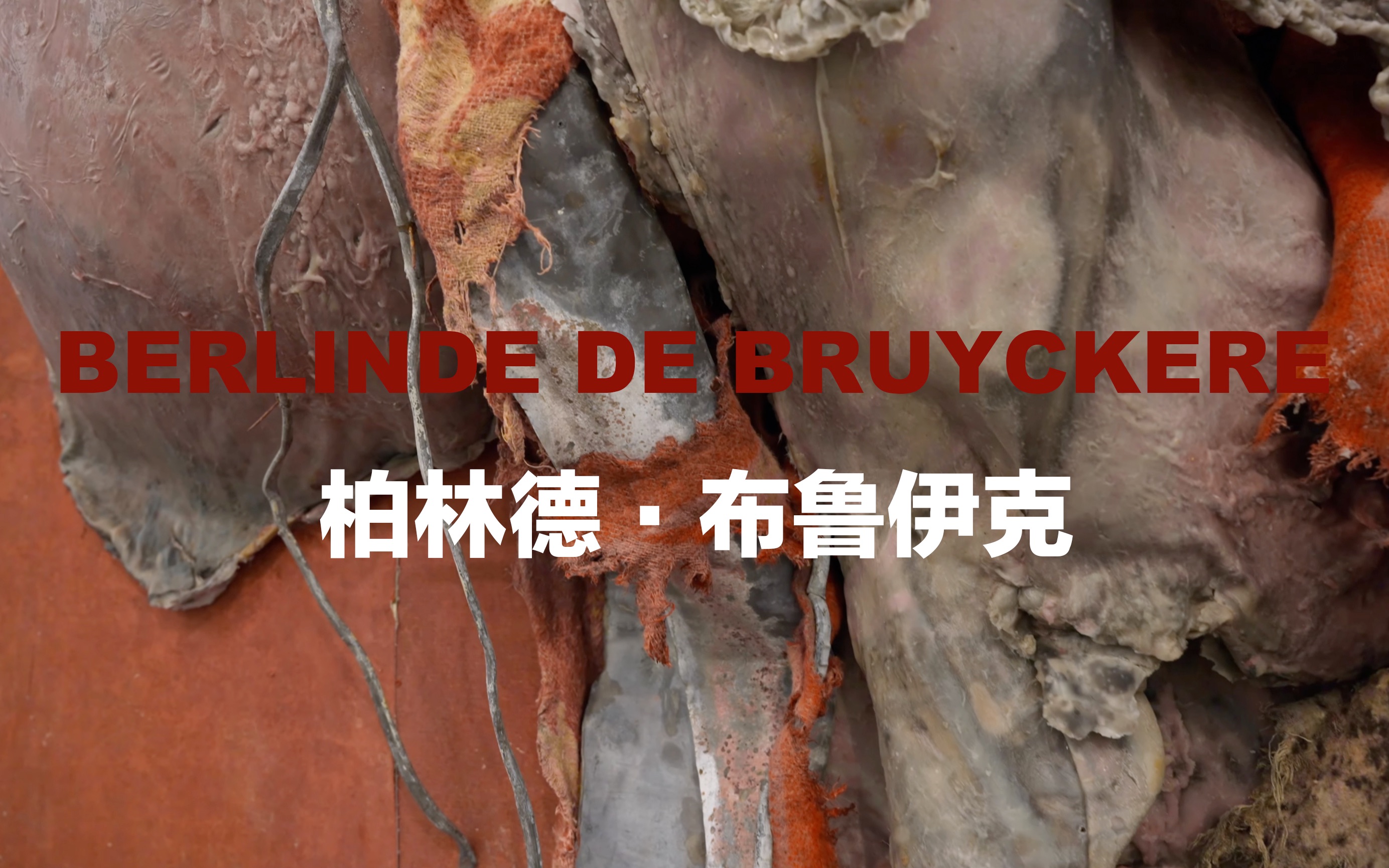 柏林德ⷥ𘃩𒁤𜊥…‹(Berlinde De Bruyckere)比利时当代艺术家/当代/雕塑/综合材质/装置/艺术哔哩哔哩bilibili