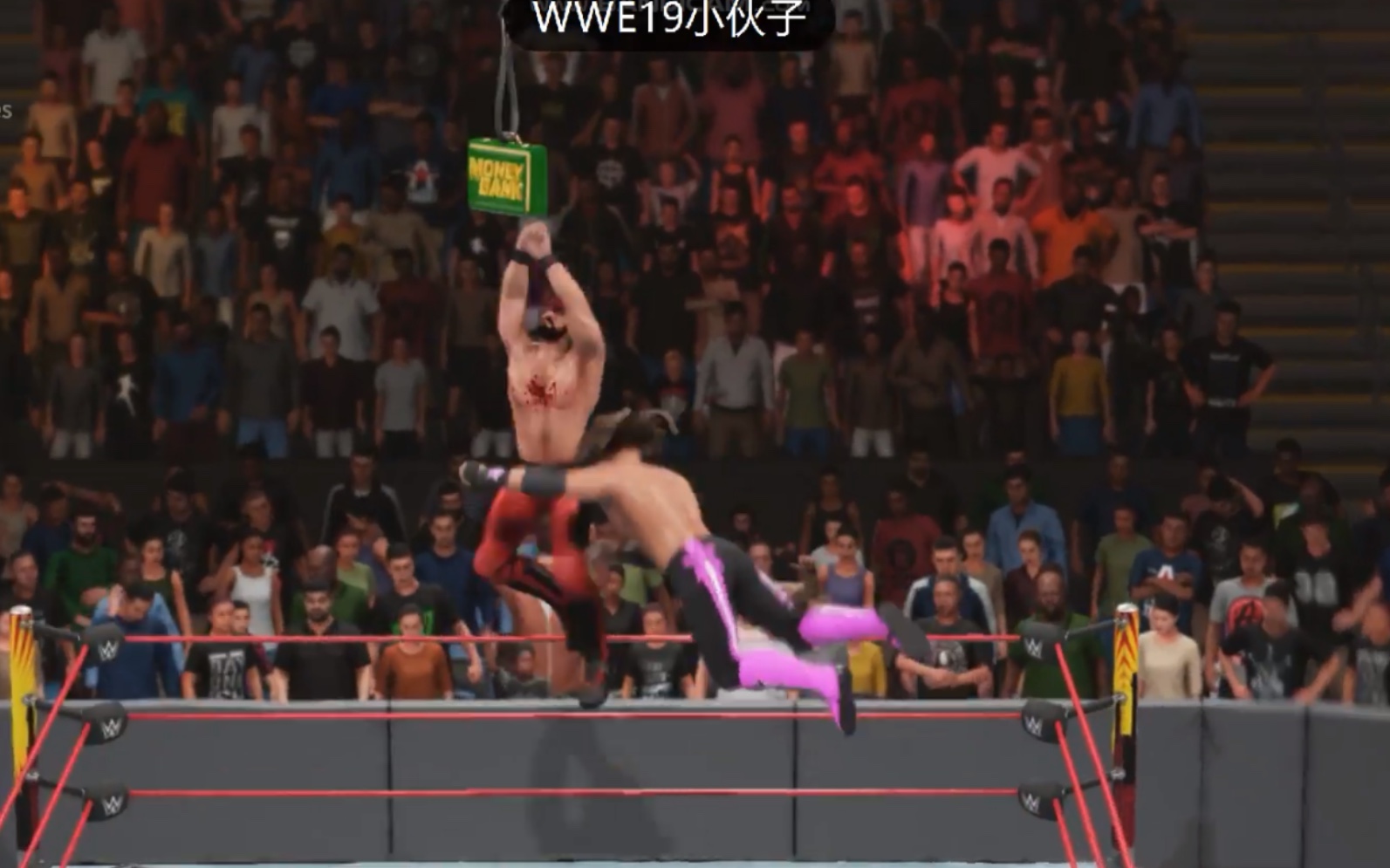 WWE2K19锦集(伤害1000自损800)梯子特别终结技及一些玩法!单机游戏热门视频