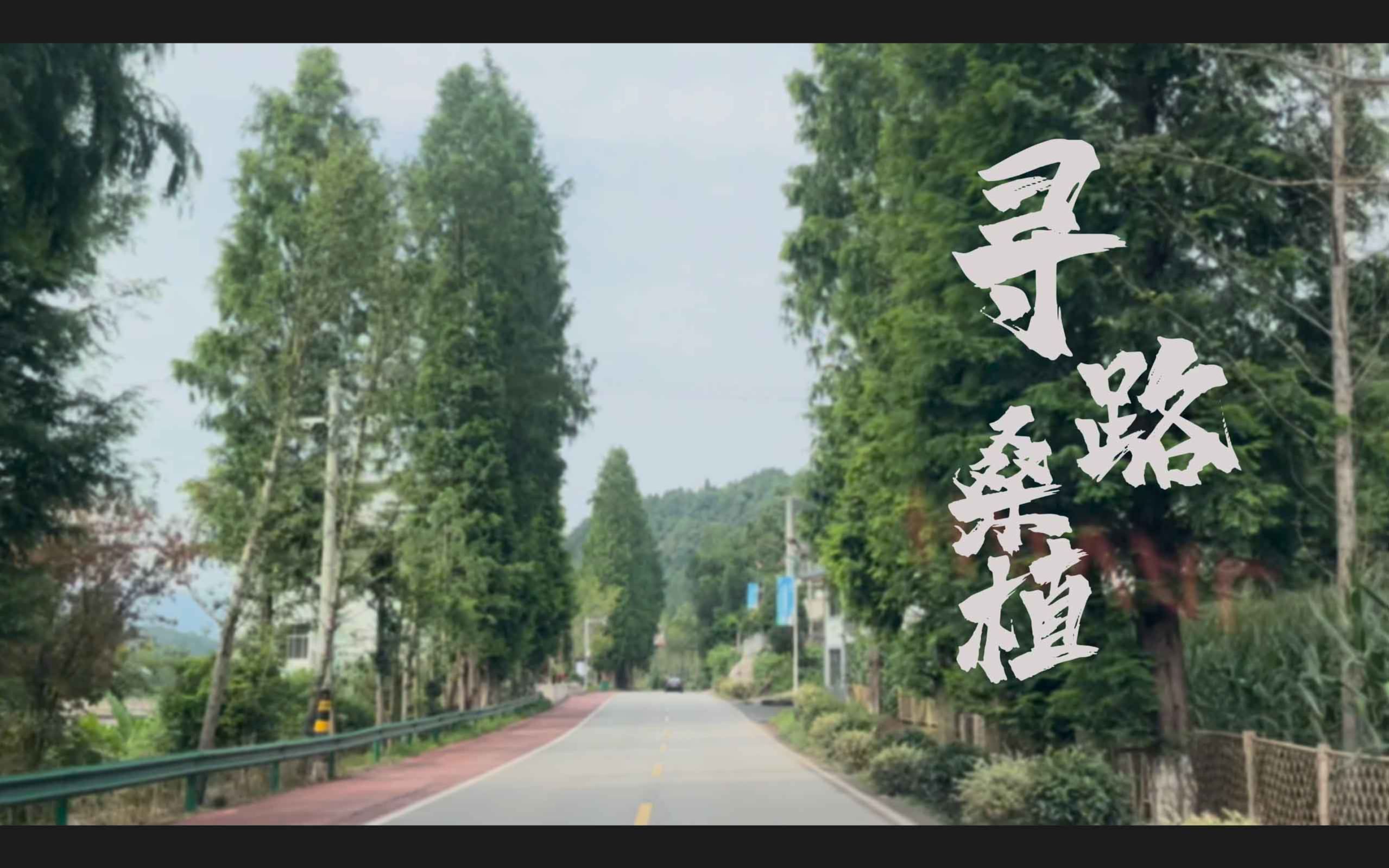 【三下乡】《寻路桑植》|2023年湘潭大学文学与新闻学院“青年心.鱼水情”社会实践团赴桑植县洪家关乡三下乡纪实哔哩哔哩bilibili