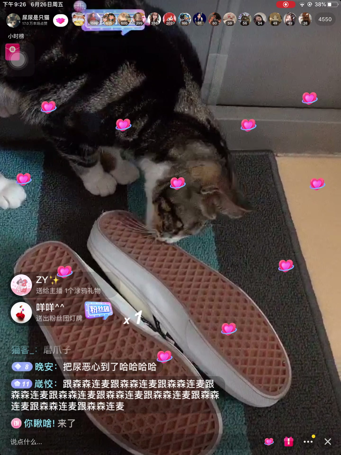 尿尿是只猫直播录屏 2020.6.26上哔哩哔哩bilibili