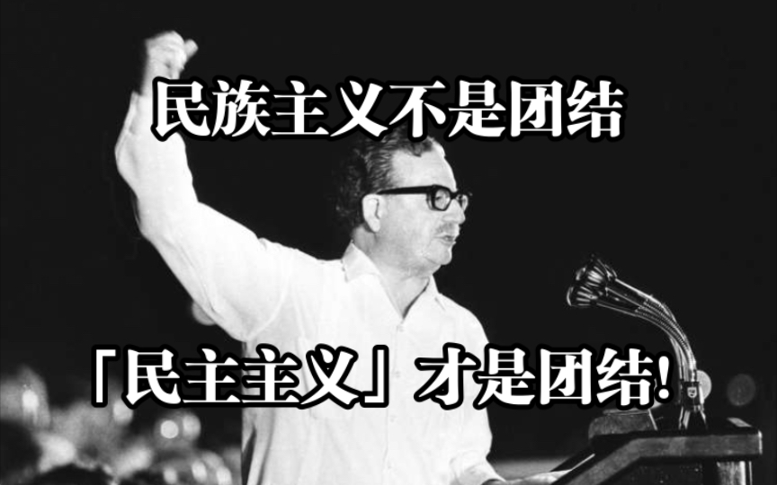 「超越民族主义」:民主主义与宪政爱国主义可以教给我们什么?哔哩哔哩bilibili