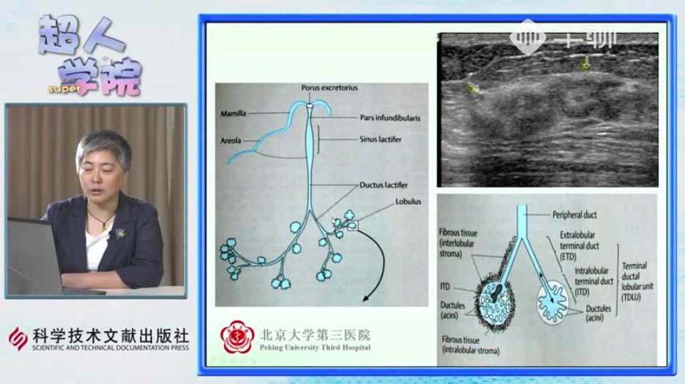 [图]乳腺超声01 北医三院葛辉玉（乳腺超声全套共16集）